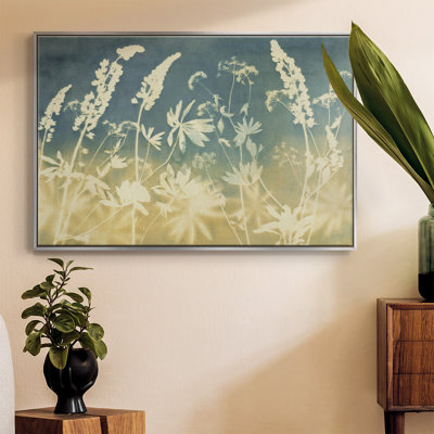 " Solstice Lupine "