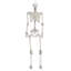 Halloween Figurines & Collectibles-927828431