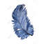 Plume bleue aquarelle - toile bleue classique