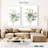 Harnek Eucalyptus White I-108232558