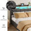 Storage Bed-1386458446-1386458445