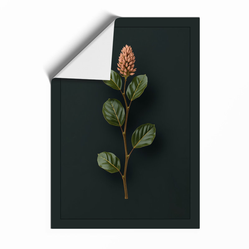 Study In Terracotta Botanical - Print, Black, A4 - 29.7 x 21.0 cm