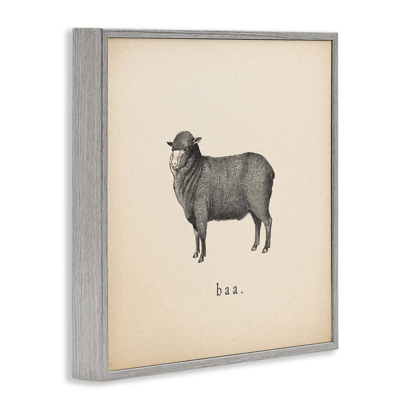 Baa Farm Sheep Sounds, art de la giclée encadrée par Wild Apple Portfolio, H 12 po x l 12 po, Estampe numérique Farmhouse