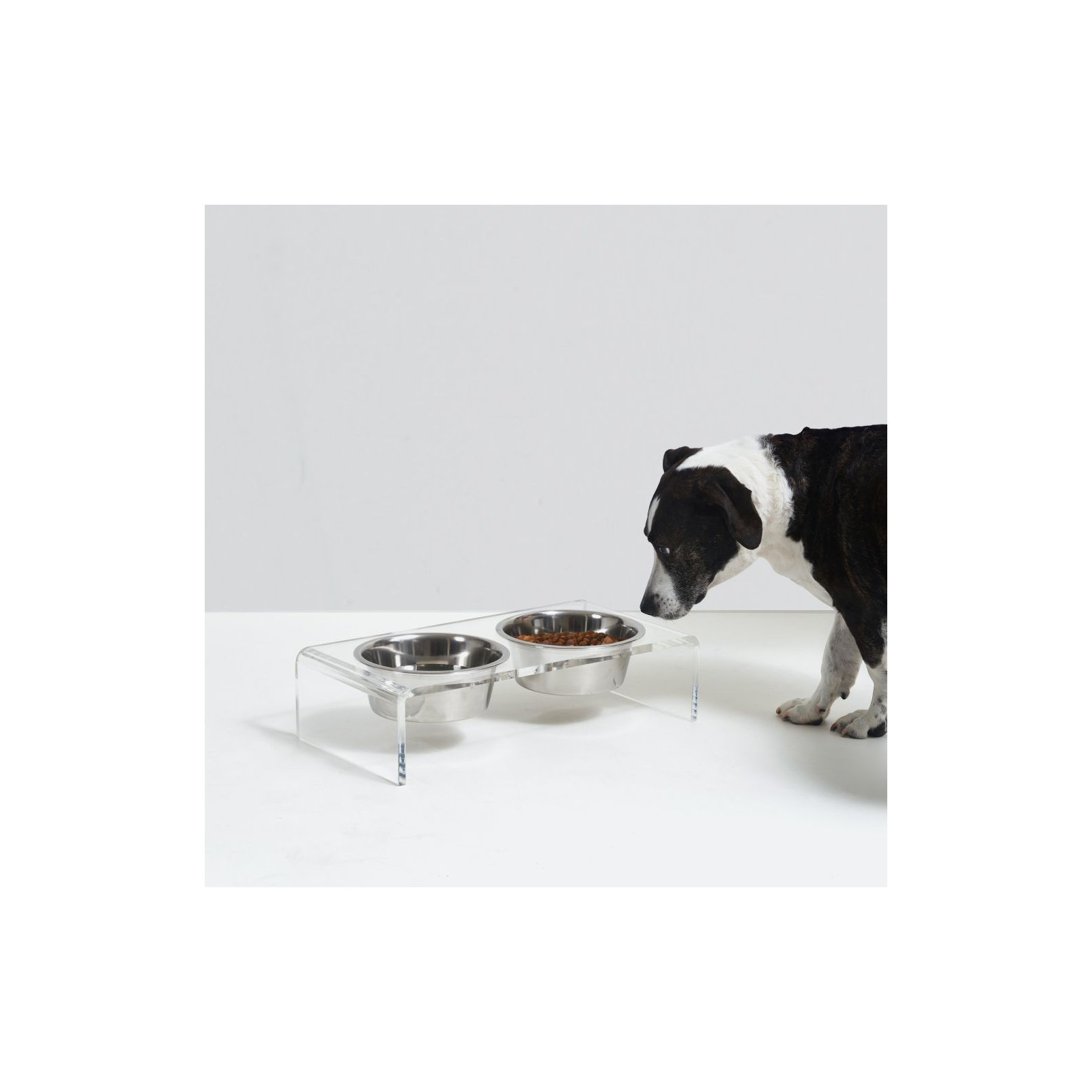Small Clear Elevated Feeder with Silver Bowls, 3.5 cups