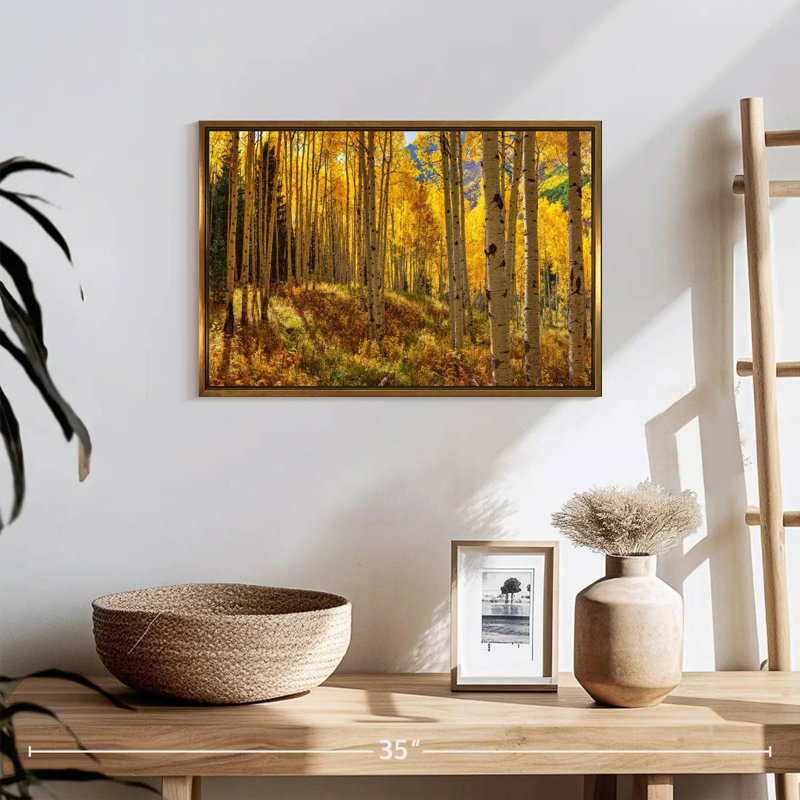 Autumn Aspen Forest, Colorado, États-Unis, 19 po x 13 po, Cadre flottant doré