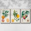 Orange de Malte, ensemble de 3 toiles encadrées sur toile-580387161-580387166