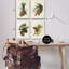  Ensemble de 4 toiles d'art Pinecone-1166693077