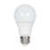 40 Watt Equivalent A19 E26/Medium (Standard) LED Bulb