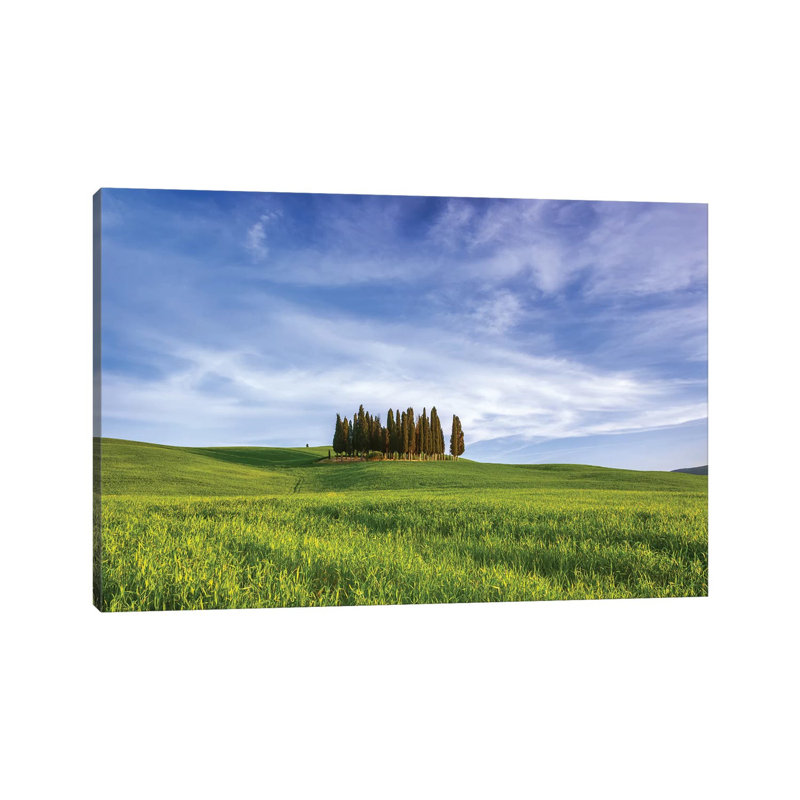 Italy, San Quirico D'Orcia. Cypress Grove In Landscape. by Jaynes Gallery - Wrapped Canvas Gallery-Wrapped Canvas Giclée