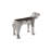 Dog End Table