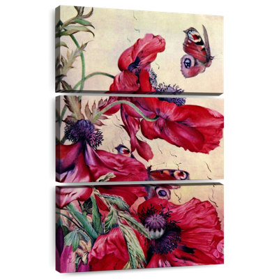 Étude de la nature du coquelicot 1917