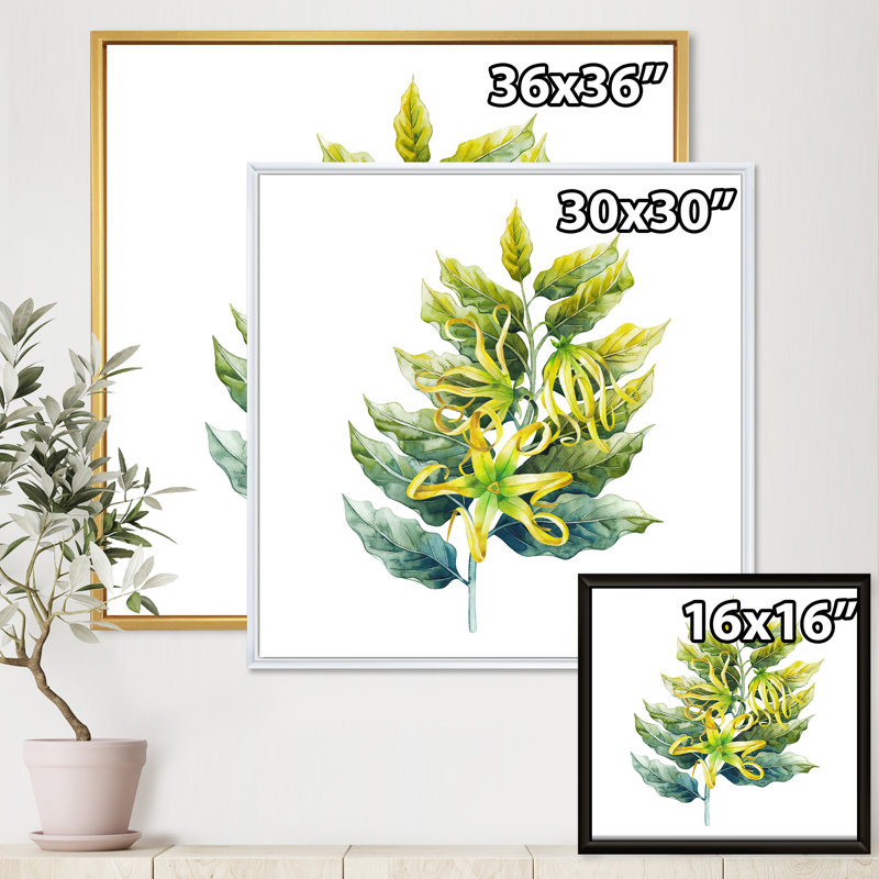 «Ylang Ylang Flower», impression sur toile, H 16 po x l 16 po x p 1 po, Cadre flottant noir