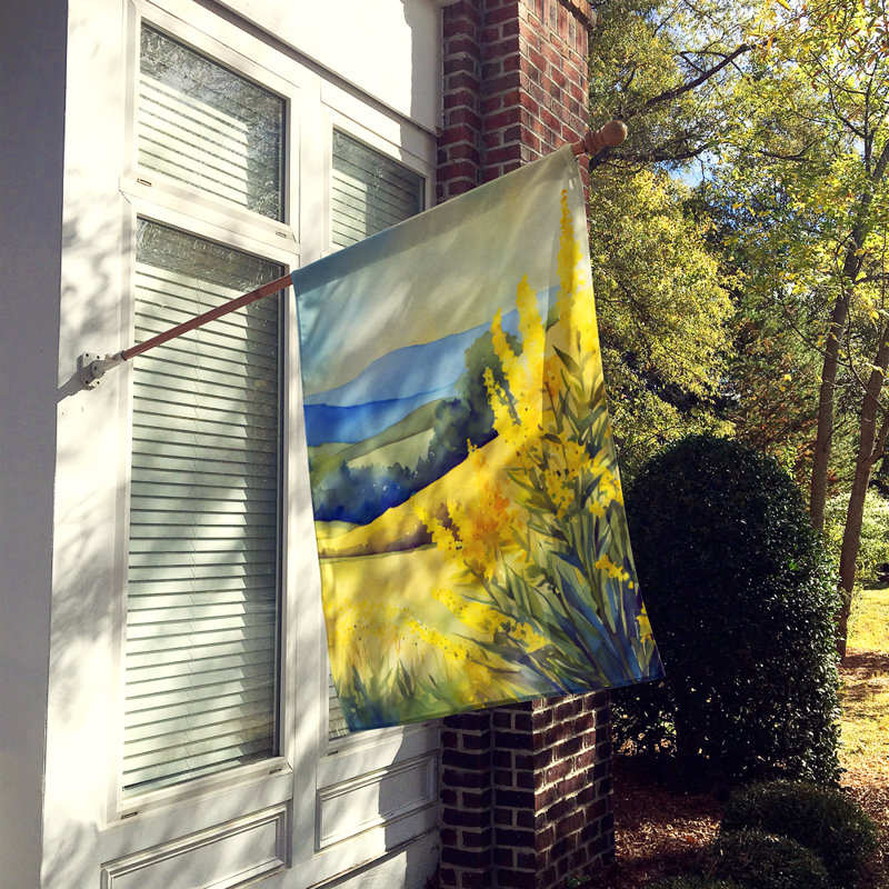 Double Sided 40'' H x 28'' W Polyester House Flag