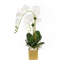 Real Touch White Phalenophsis Orchids Flower Arrangement in Planter