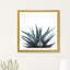 Cadre photo topaze par 83 oranges-49919546-49919547