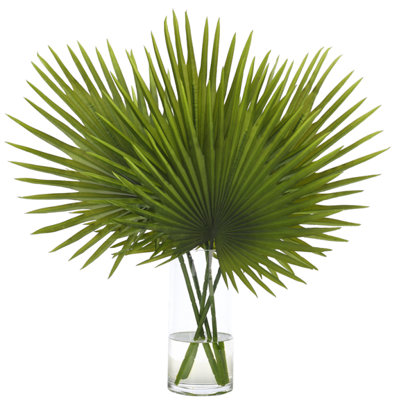 Fan Palm, Green, Glass Cylinder, 27wx22dx29d