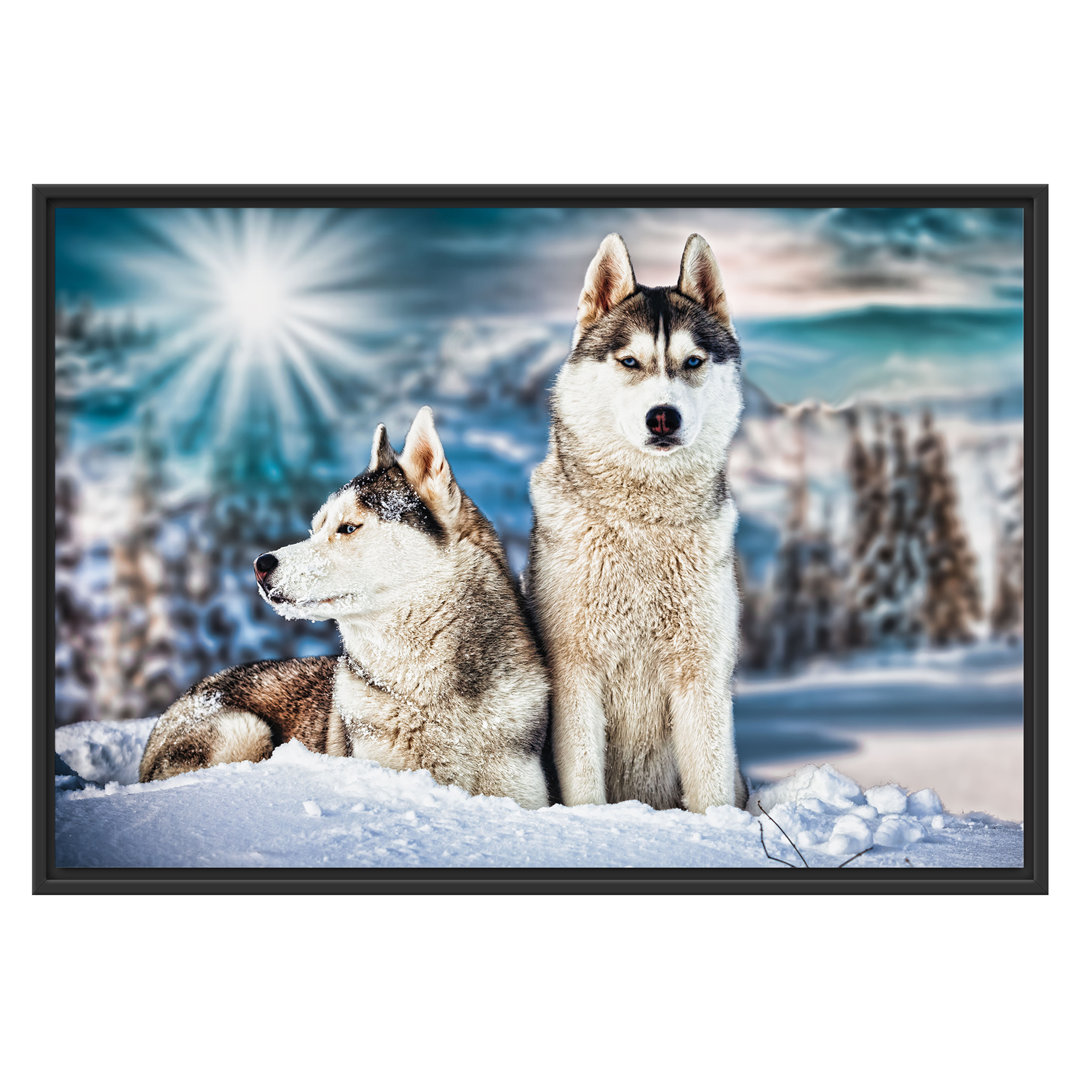 Gerahmtes Wandbild Zwei wilde Huskies