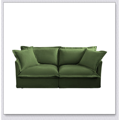 Comfortable Two-Seat Sofa for Living Room with Detachable Cover and Upholstered Cushion, Perfect for Relaxation and Easy Maintenance.
