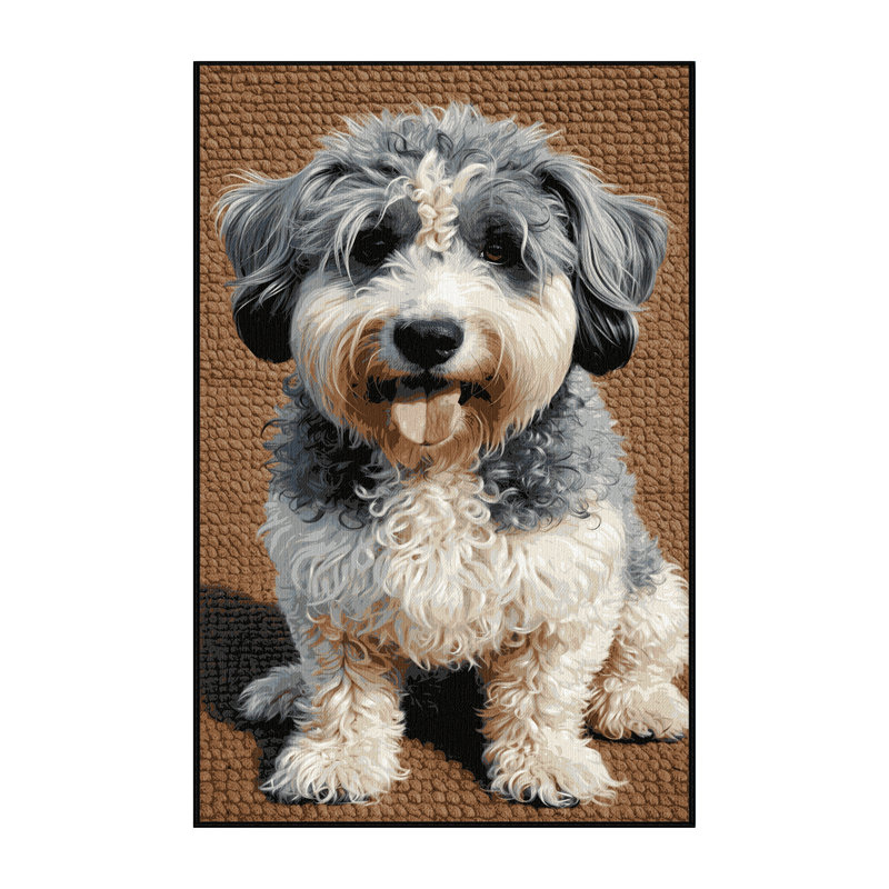  Tapis lavable pour chien Barbet, Tapis de couloir 2 pi x 4 pi