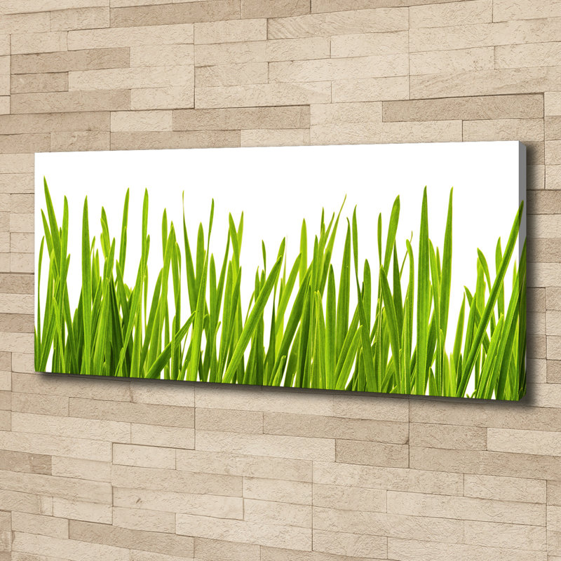 Grass - No Frame Print on Canvas