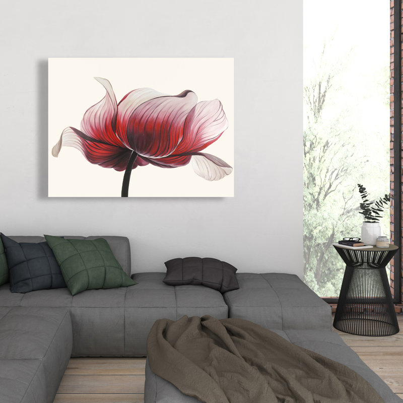 Toile fleur anémone | Illustration de fleurs noires