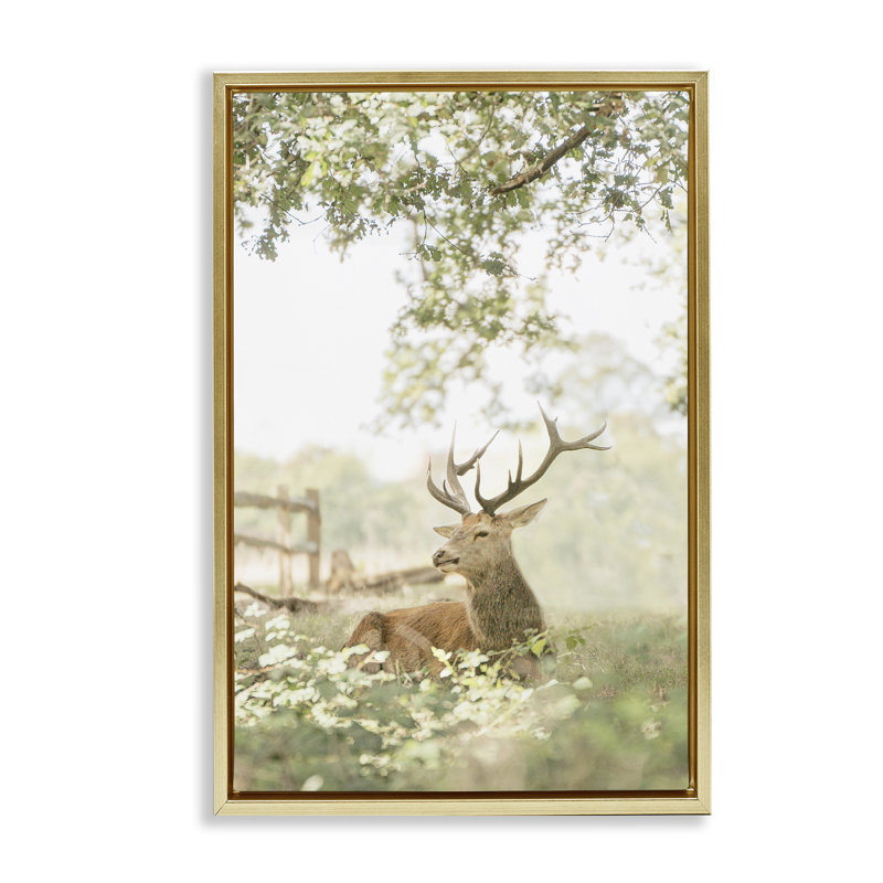 Cadre flottant avec portrait de cerf à queue blanche, design par Leah Straatsma, H 25 po x l 17 po