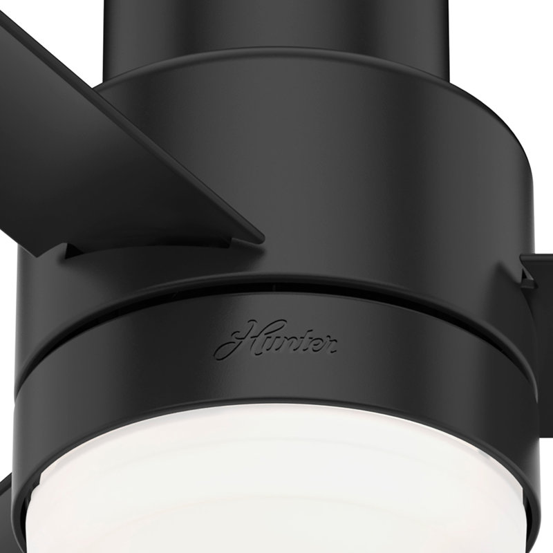 Gilmour 52" 3 - Blade Flush Mount Outdoor Ceiling Fan with Pull Chains and Light, Matte Black