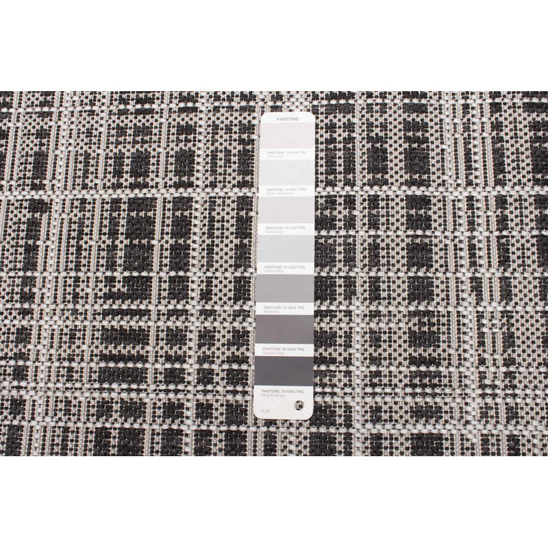 Vista Indoor / Outdoor Rug, Rectangle 2'2" x 3'11"