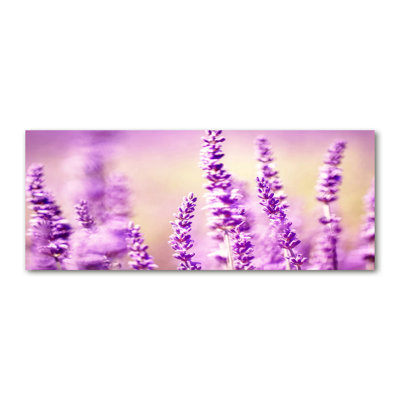 Lavender 1 Piece Wall Art on Canvas