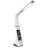 USB Desk Lamp