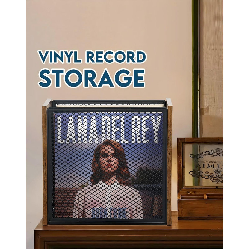 Ensemble de 2 boîtes de rangement pour disques vinyles empilables