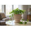 Cream Ceramic Planter With Ribbed Design
