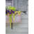 Black Floater Framed