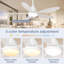 Ceiling Fan with Light Kit