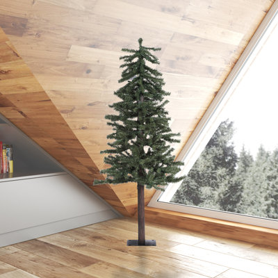 Wingrove Alpine Pine Christmas Tree