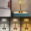 Aleishia Metal Table Lamp