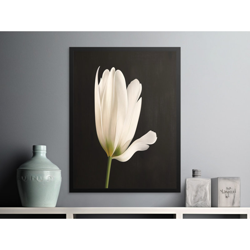 Comeaux Single Picture Frame Print, 91.44 cm H x 60.96 cm W