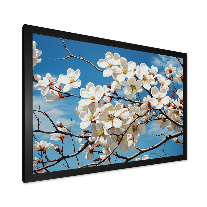 Tranquille blanc cornouiller fleurs II - cornouiller, Cadre d'angle fermé noir, H 12 po x l 20 po x P 1 po