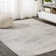 Pruden Ornate Medallion Modern Ivory Rug