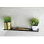 Fanniemae Glass Floating Shelf with Adjustable Shelves-1581766881-1581766880