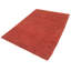 Sprouts Wool Area Rug in Red-40705255
