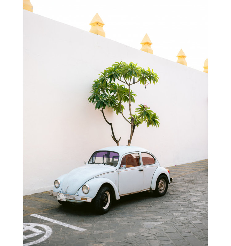 Wrapped Canvas Print, 121.92 cm H x 81.28 cm W