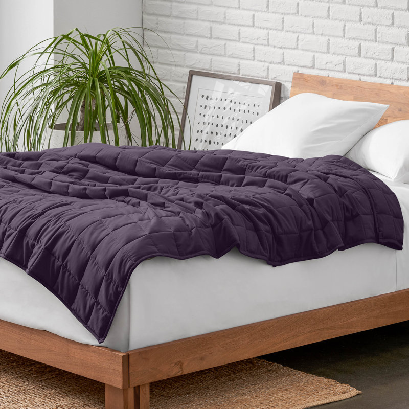 Couverture en coton sergé, l 48 po x L 72 po, 12 lb, Aubergine