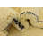 Mosser Ivory Rug