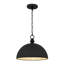 Luminaire suspendu noir mat Braylon 1 lumière