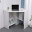 Zytavious Computer Desk-233862980