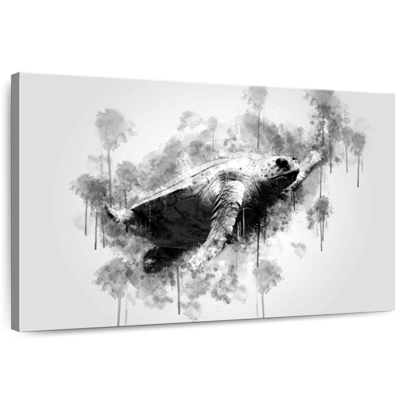 Sea Turtle Black And White