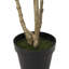 Eucalyptus artificiel pissenlit en pot