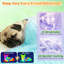 Pet Bed-1177820416