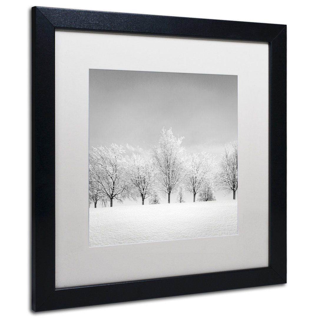 'Ice Storm' Framed Photographic Print on Canvas Ebern Designs 